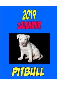 2019 Calendar Pitbull