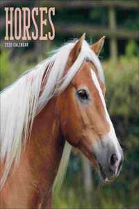 HORSES WIRO W 2020