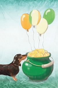 Dachshund