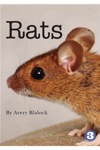 Rats