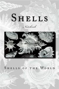 Shells