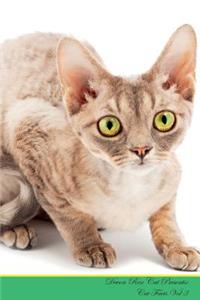 Devon Rex Cat Presents
