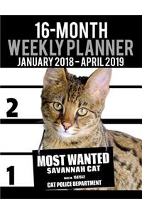 2018-2019 Weekly Planner - Most Wanted Savannah Cat