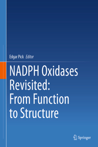 Nadph Oxidases Revisited: From Function to Structure