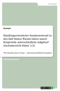 Handlungsorientierter Stundenentwurf zu den fünf Sinnen. Warum haben unsere Körperteile unterschiedliche Aufgaben? (Sachunterricht Klasse 1/2)