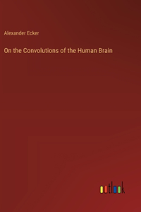On the Convolutions of the Human Brain