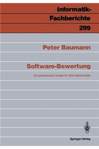 Software-Bewertung
