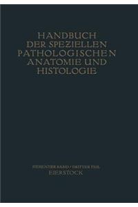 Weibliche Geschlechtsorgane