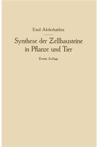 Synthese der Zellbausteine in Pflanze und Tier