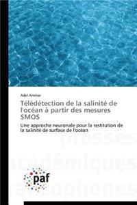Télédétection de la Salinité de l'Océan À Partir Des Mesures Smos