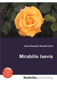 Mirabilis Laevis