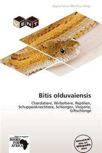 Bitis Olduvaiensis