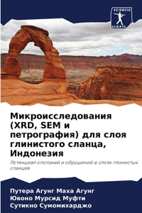 Микроисследования (XRD, SEM и петрография) для с&#