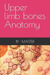 Upper limb bones Anatomy