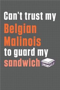 Can't trust my Belgian Malinois to guard my sandwich