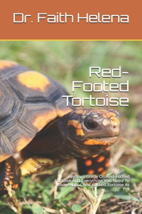 Red-Footed Tortoise