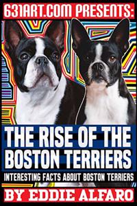 The Rise of the Boston Terriers