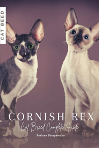 Cornish Rex