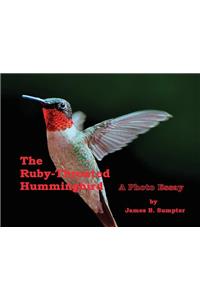 Ruby-throated Hummingbird