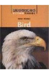 Living Things: Bird