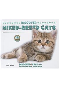 Discover Mixed-Breed Cats