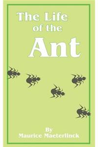 The Life of the Ant