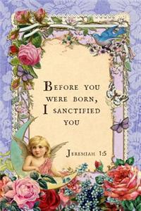 Before You Were Born, I Sanctified You