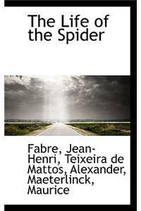 The Life of the Spider
