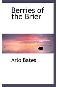 Berries of the Brier
