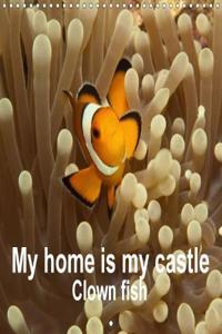 My Home is My Castle - Clown Fish 2018