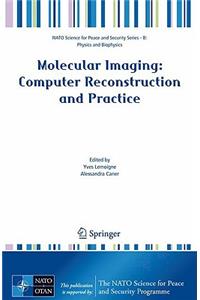 Molecular Imaging: Computer Reconstruction and Practice