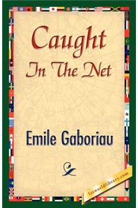 Caught in the Net