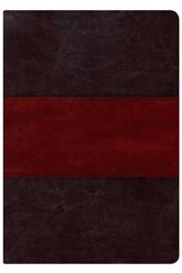 Holman Study Bible-NKJV-Large Print