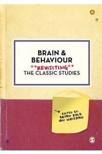 Brain and Behaviour