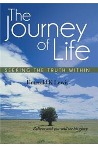 Journey of Life: Seeking the Truth Within