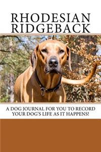 Rhodesian Ridgeback