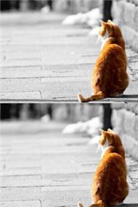 Double Orange Cat Journal