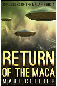 Return of the Maca