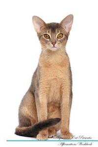 Abyssinian Cat Affirmations Workbook Abyssinian Cat Presents