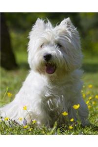 West Highland White Terrier