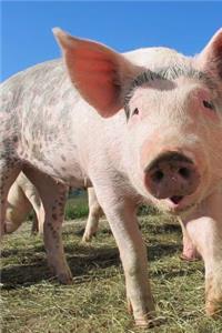 Happy Pink Pig Says Hello Journal