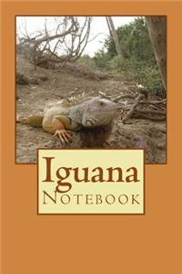 Iguana