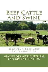 Beef Cattle and Swine