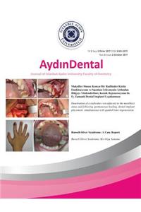 Aydin Dental