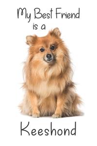 My best Friend is a Keeshond (Squared Paper)
