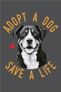 Adopt A Dog Save A Life