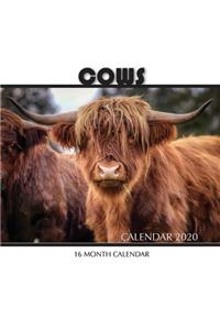 Cows Calendar 2020