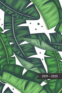 2019 - 2020