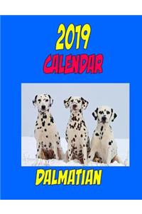 2019 Calendar Dalmatian
