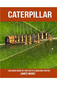 Caterpillar: Children Book of Fun Facts & Amazing Photos